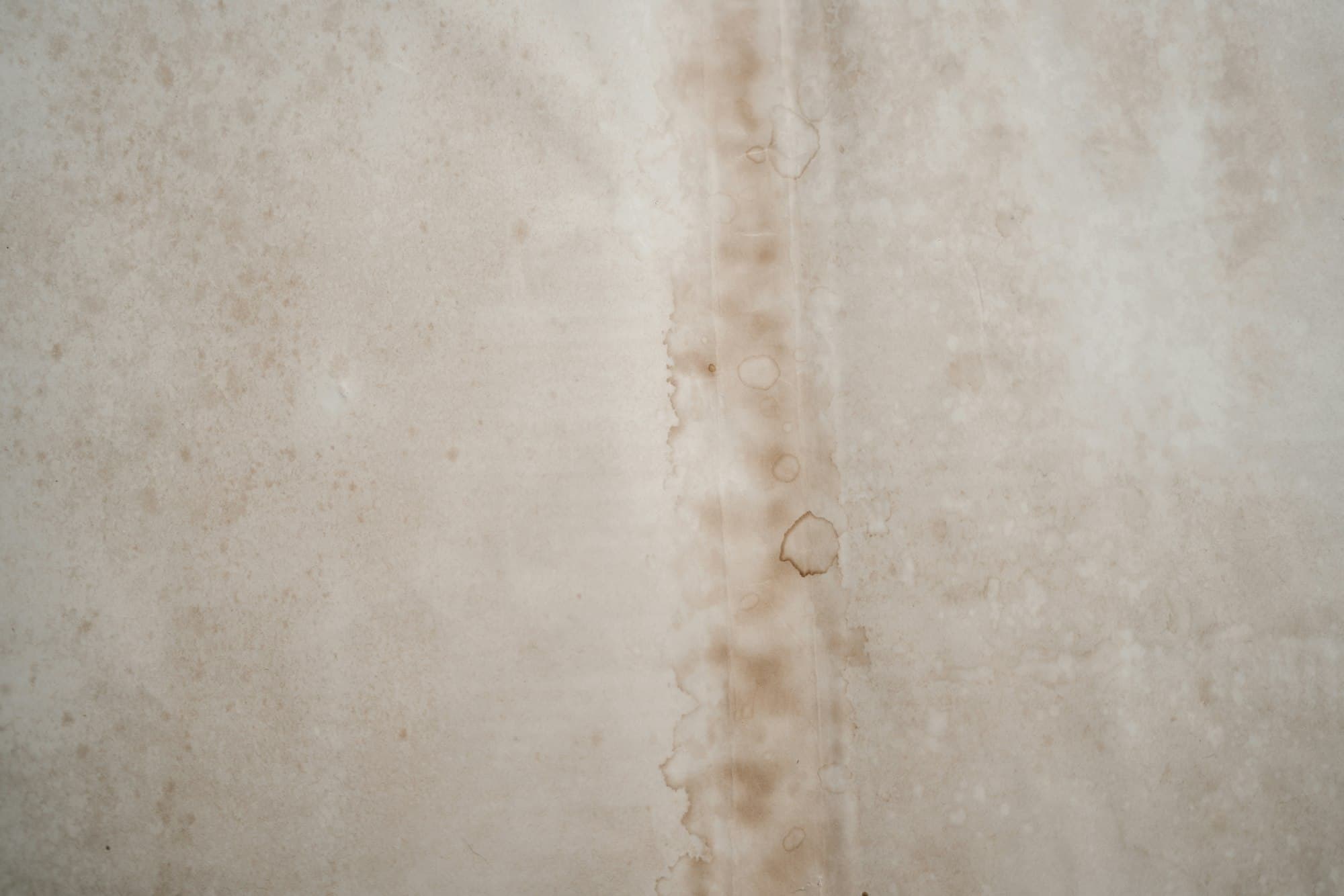 Close-up of a pale wall with a brown water stain bleeding downward along a vertical seam, ringed with darker tide lines.