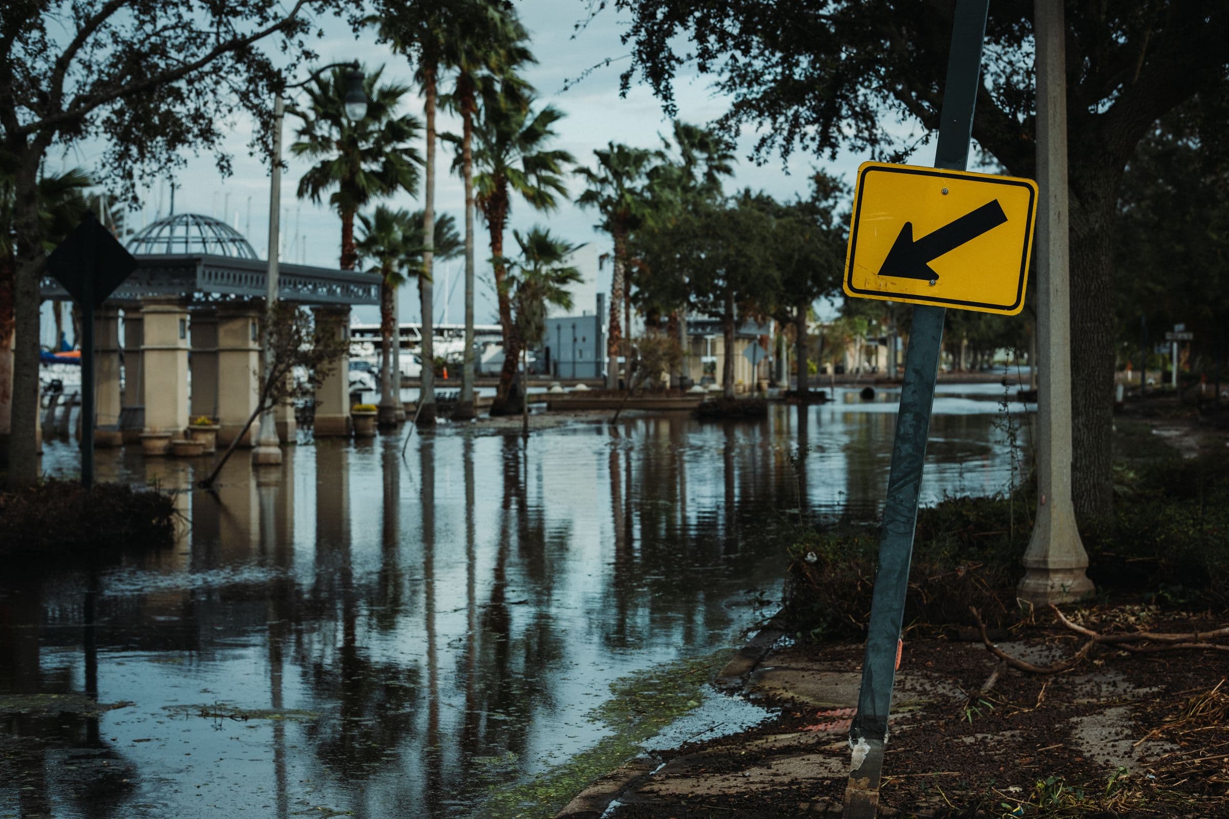 A flooded residential street in Florida lined with palm trees, a traffic sign leaning over the standing water.