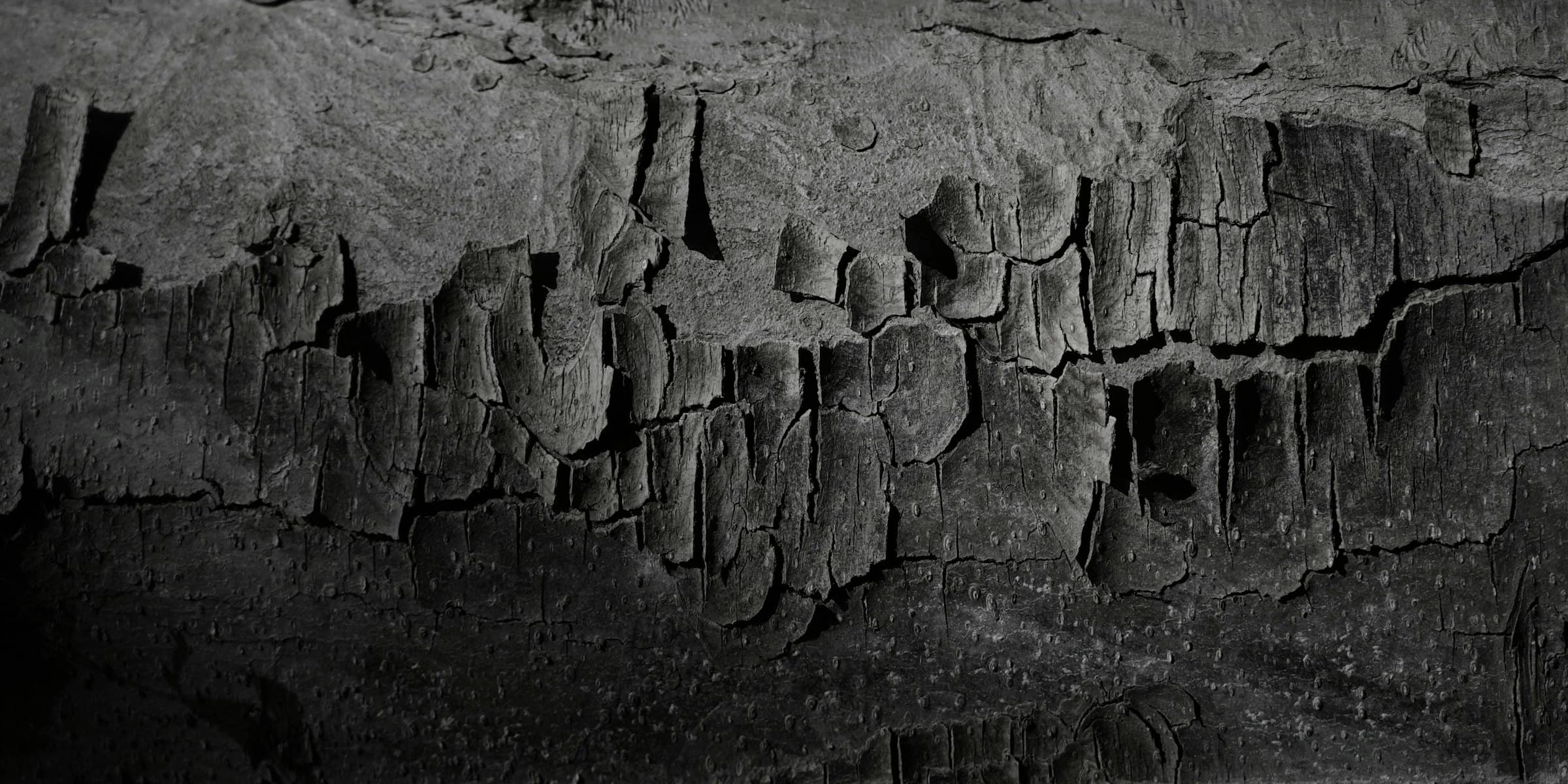 Rough charred wood in close-up, showing deep cracking across the grain.