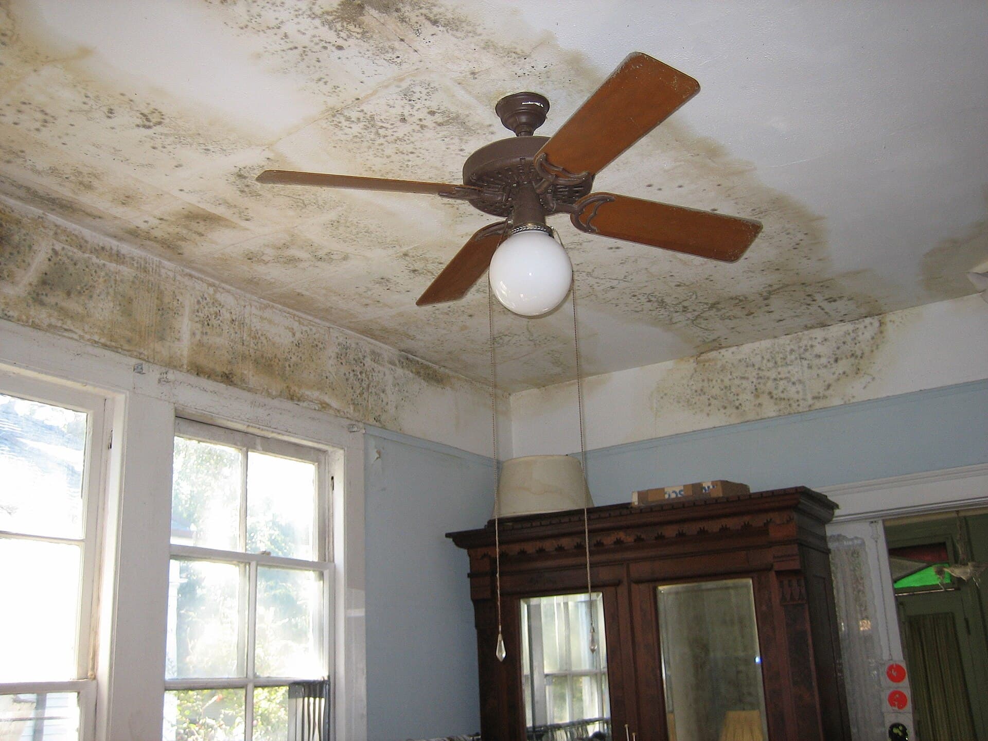 Mould spreading across a bedroom ceiling below a roof leak.